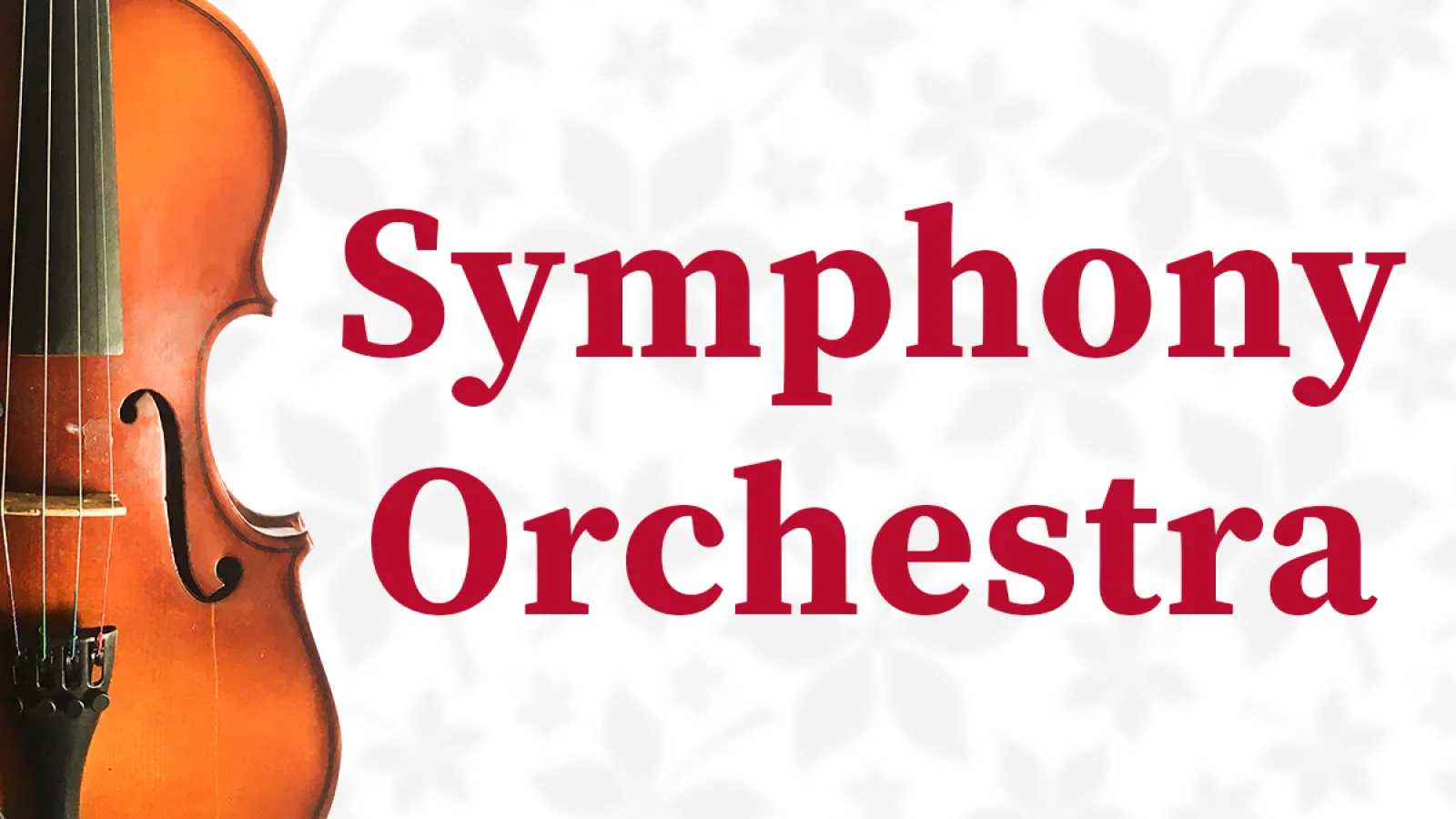 Symphony Orchestra event