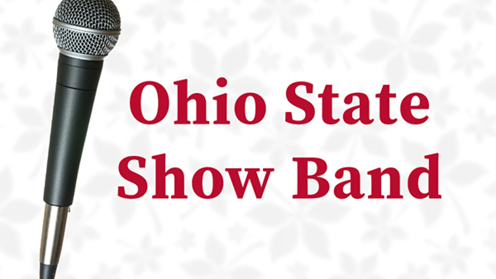 Ohio State Show Band performance