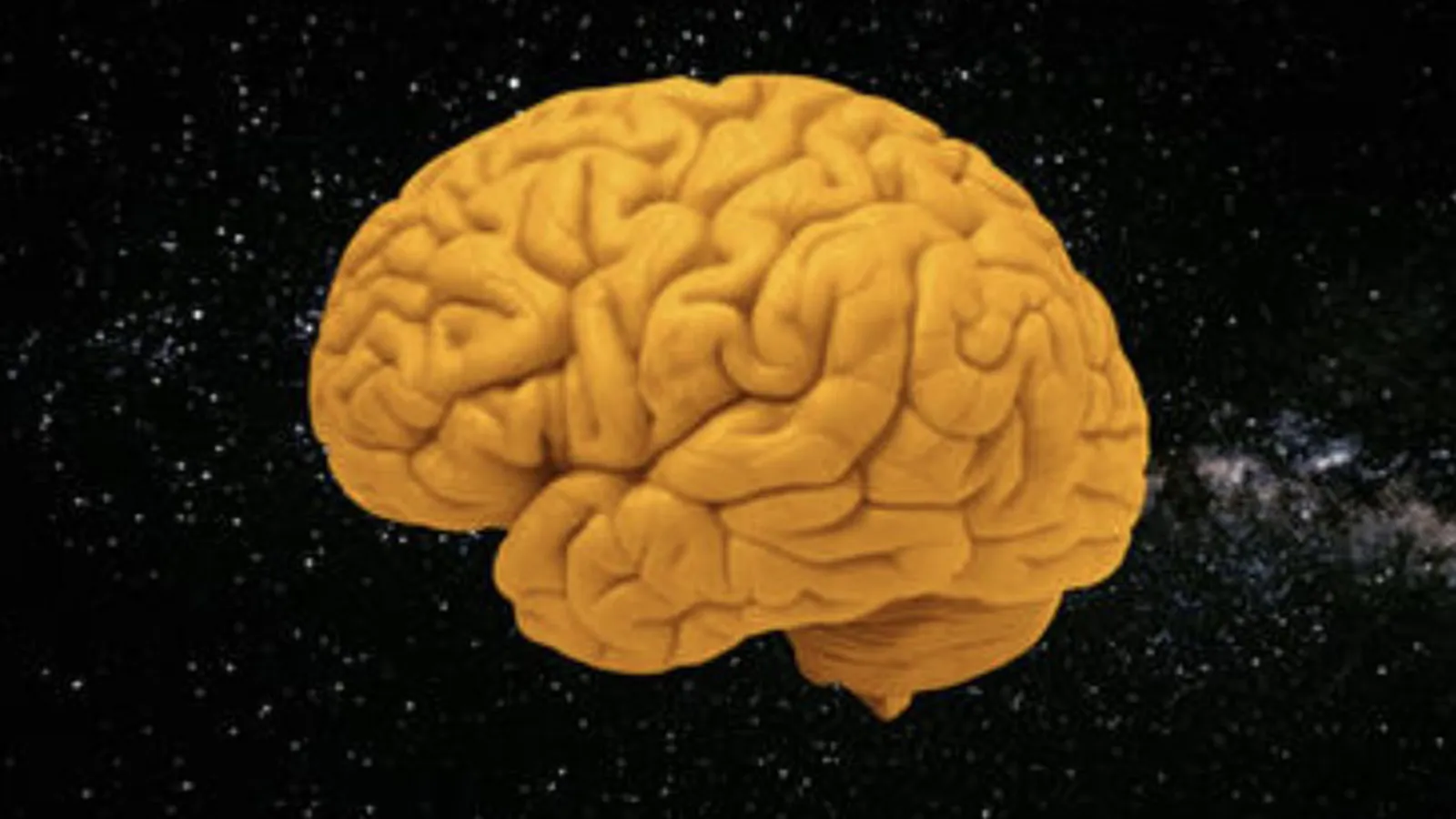 Lecture: Stevie Dr. View Johnson (image: Curriculum of the Mind book detail)